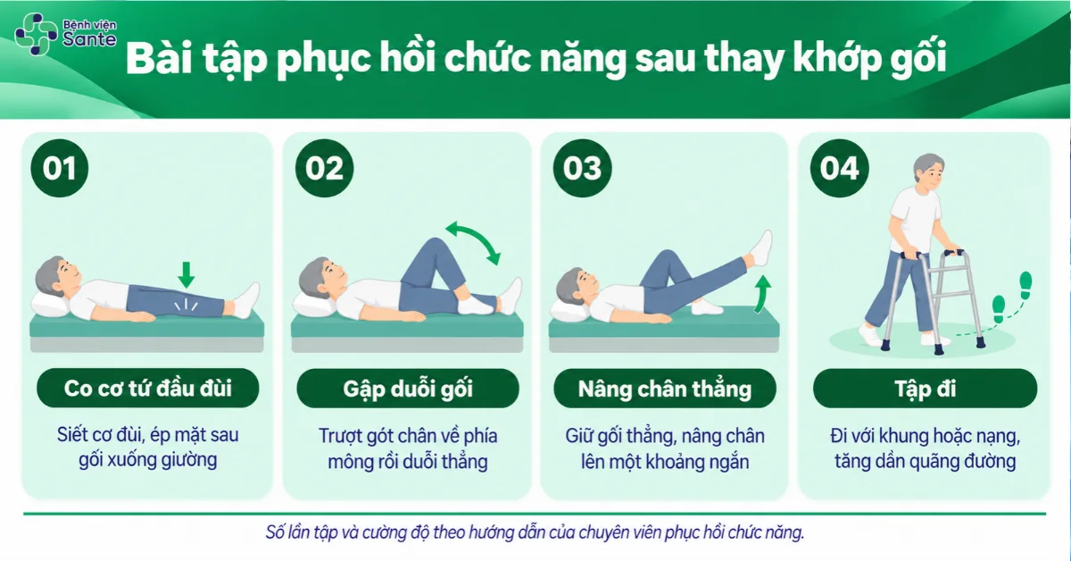 4 bài tập phục hồi chức năng cơ bản sau thay khớp gối gồm co cơ đùi, gập duỗi gối, nâng chân và tập đi