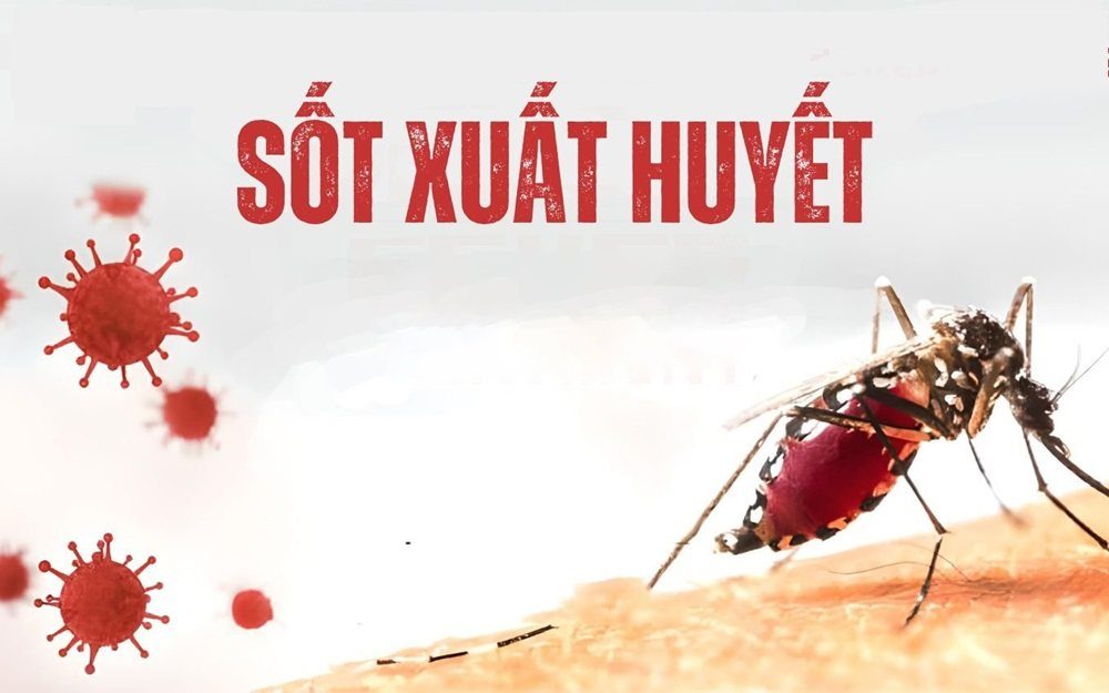 Những điều cần biết về sốt xuất huyết