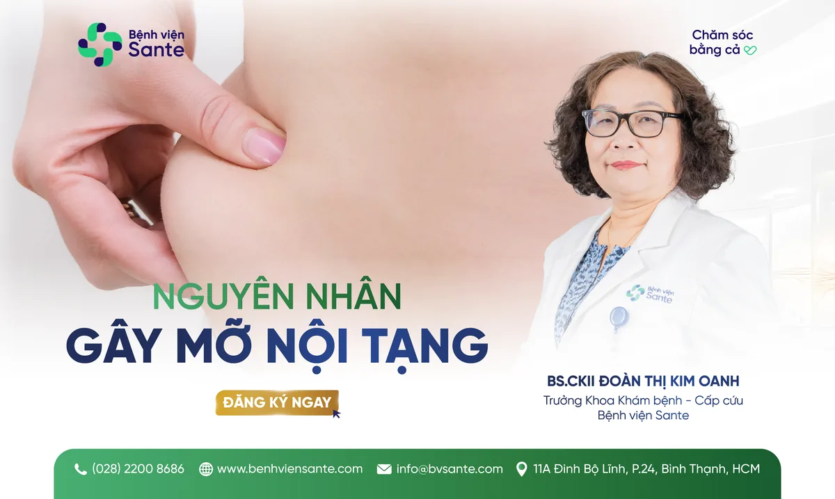 NGUYÊN NHÂN GÂY MỠ NỘI TẠNG - Bệnh viện SANTE Bình Thạnh, TP.HCM
