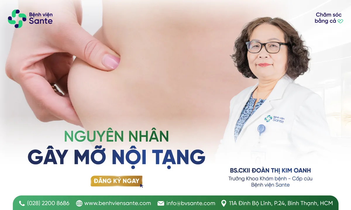 NGUYÊN NHÂN GÂY MỠ NỘI TẠNG - Bệnh viện SANTE Bình Thạnh, TP.HCM